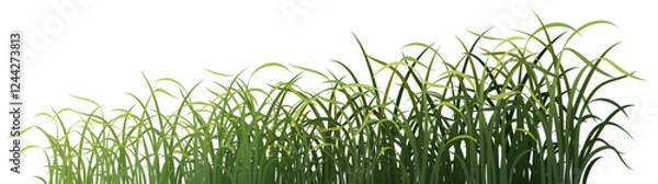 Fototapeta grass Green orchid gradient color basic shape