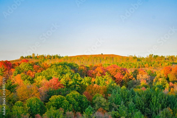 Fototapeta Warm autumn changing colorful trees with a blue sky at Rouge Urban Park. Nature landscape background with colorful trees. Fall season with yellow, orange, green, red and vibrant color tree leaves.