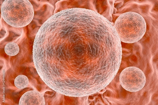 Obraz Chlamydia trachomatis 3D illustration