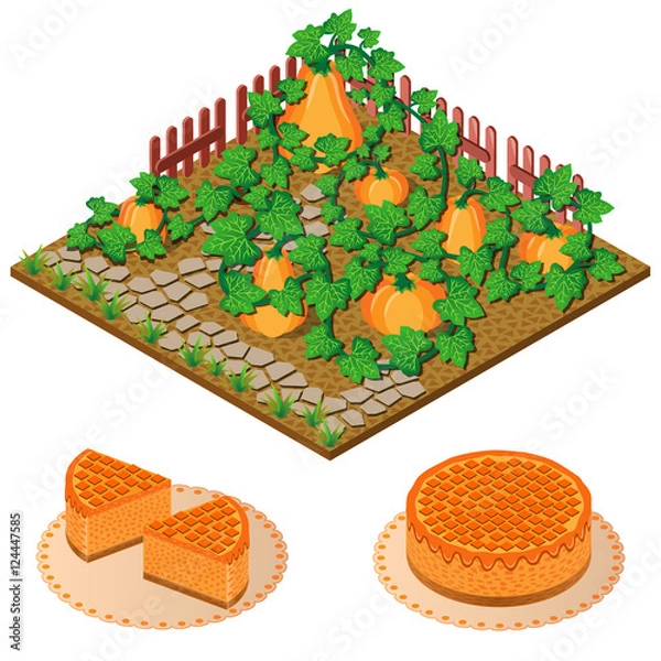 Obraz umpkins in the garden and pumpkin pie. Vector icon set. Isometric view.