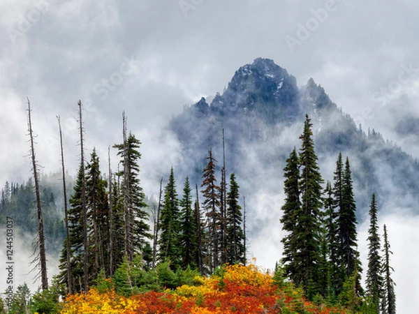 Obraz Washington State, Mount Rainier National Park. Denman Peak in the Tatoosh Range with vibrant fall color, alpine fir trees and storm clouds