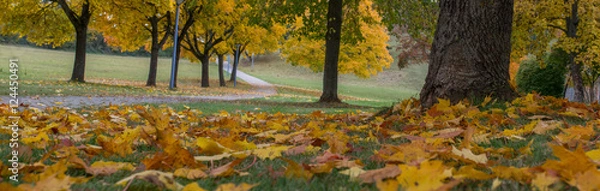 Obraz Herbst Panorama