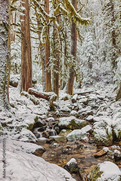 Obraz Copper Creek in the Gifford Pinchot National Forest