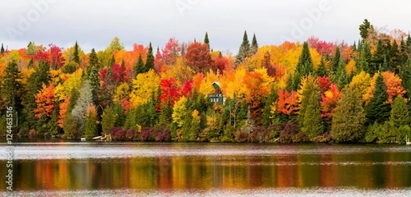 Obraz Autumn beginning to take affect on cottage country in the Quebec north. Trees turning blood red before the winter onslaught.