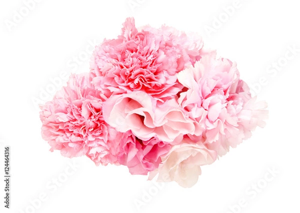 Fototapeta カーネーションとトルコキキョウ