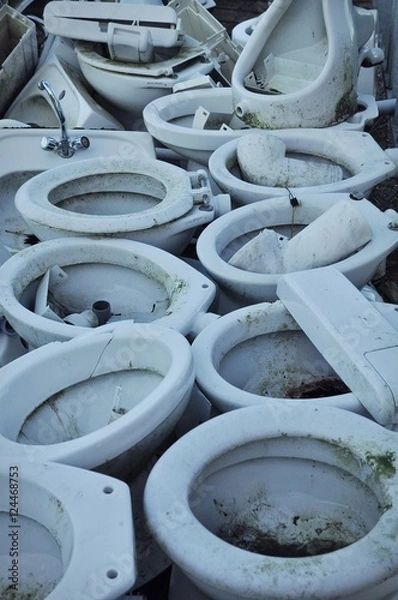 Obraz Junk toilet bowls