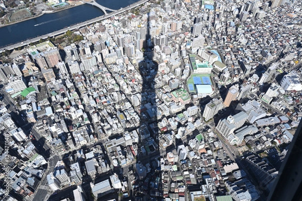 Fototapeta スカイツリーからの東京展望