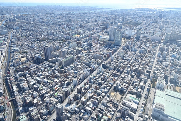 Fototapeta スカイツリーからの東京展望