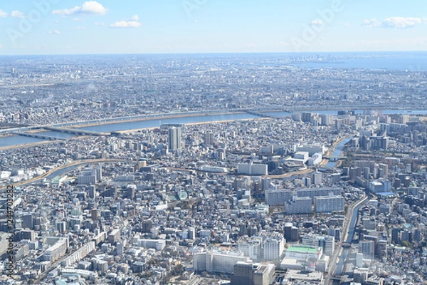 Obraz スカイツリーからの東京展望