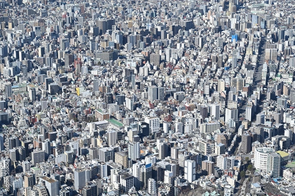 Fototapeta スカイツリーからの東京展望