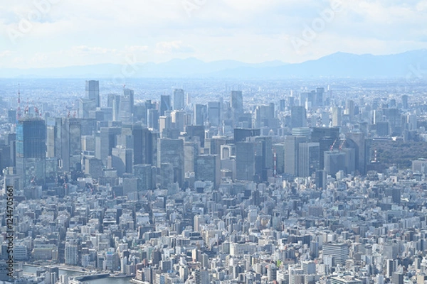 Obraz スカイツリーからの東京展望