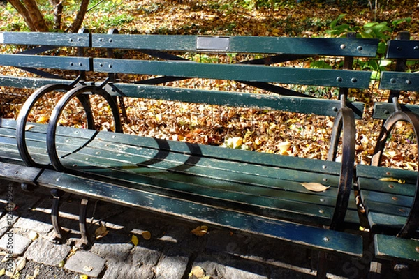 Fototapeta ニューヨーク　セントラルパークの秋