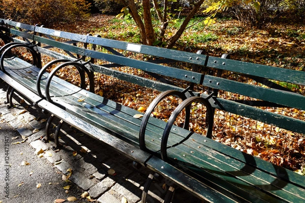 Fototapeta ニューヨーク　セントラルパークの秋