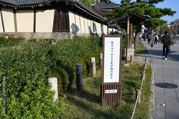 Obraz 京都の風景