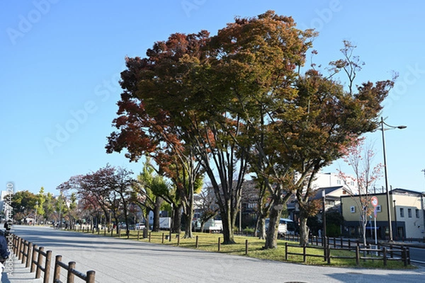 Obraz 京都の風景