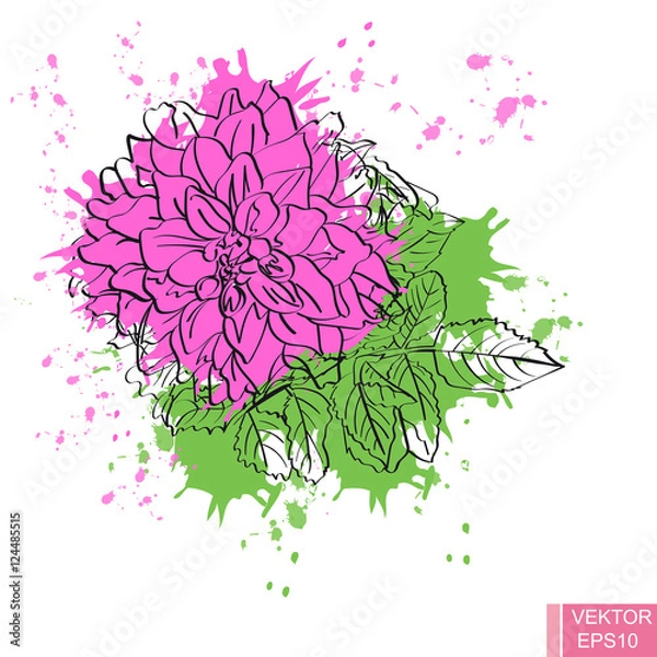 Fototapeta Beautiful pink flower isolated on white background. For your design.