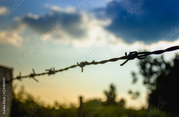 Fototapeta Sharpness French
