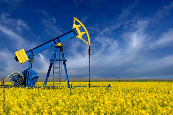 Fototapeta Pompa olejowa. Sprzęt przemysłu naftowego w łańcuchu rzepaku