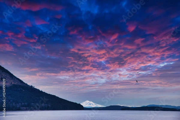 Fototapeta Mount Baker, Washington, USA as viewed from Cherry Point Nature Park, BC, Canada.