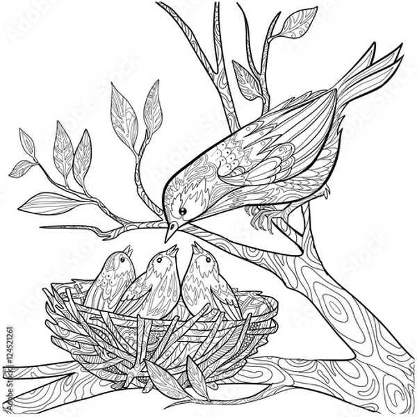 Obraz Decorative doodle bird and nest with chicks. Coloring book page for adults. Vector illustration.