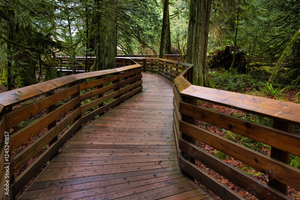 Fototapeta wooden bridge on forest trail in BC