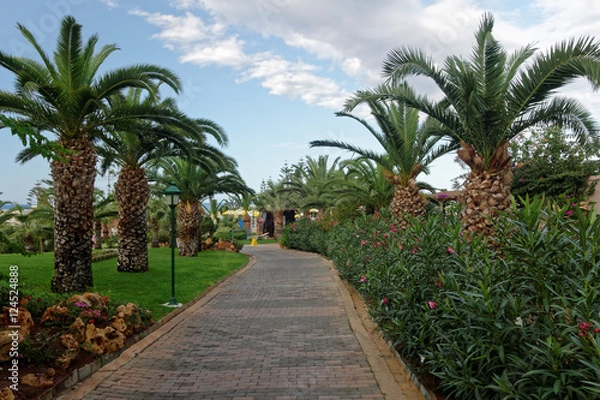 Obraz Sous les Palmiers