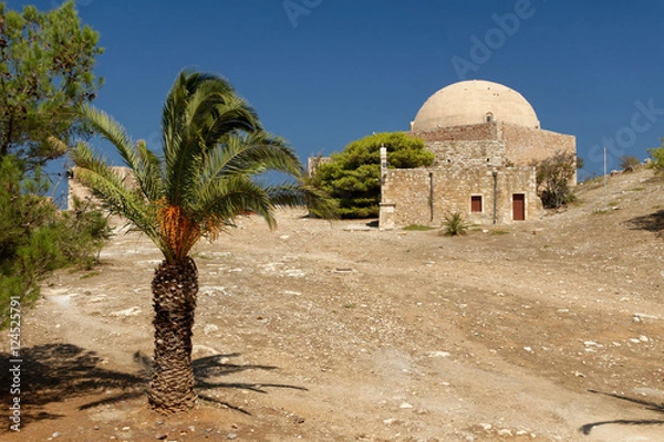 Obraz Une mosquée et des palmiers