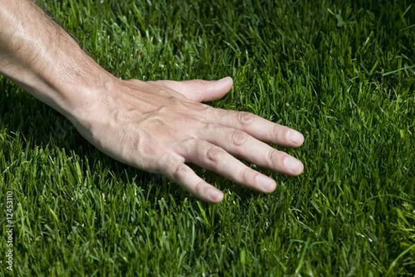 Obraz Green Grass