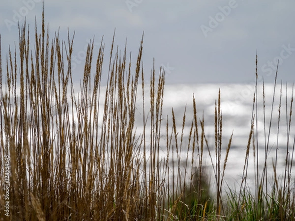 Obraz Washington State Coast