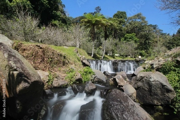 Fototapeta beautiful landscape of cibodas botanical garden in west java indonesia