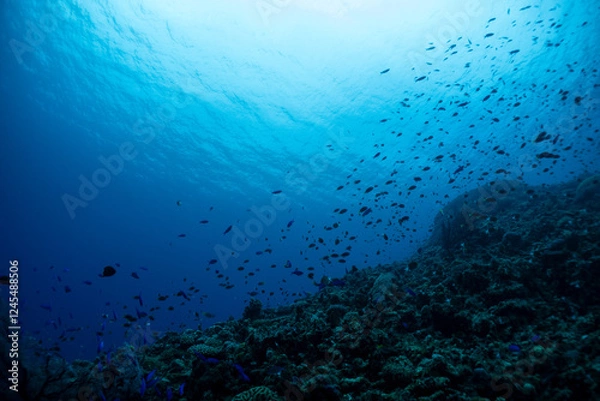 Fototapeta 神秘的な海の世界線