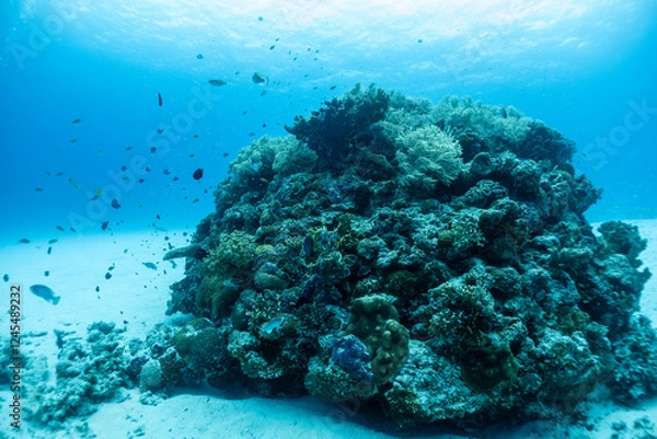 Fototapeta 神秘的な海の世界線