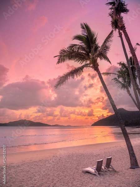 Fototapeta Sunrise between the palm trees at Hamilton Island in the Whitsundays