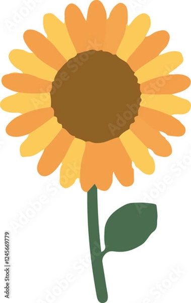 Obraz sunflower on white background