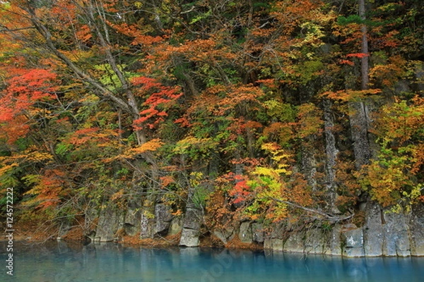 Fototapeta 八幡平　玄武岩の紅葉
