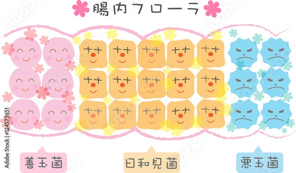 Obraz 腸内フローラ