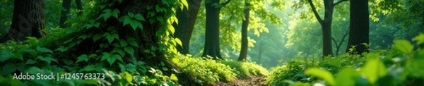 Obraz Vines entwined around tree trunks in dense foliage, Greenery, Nature
