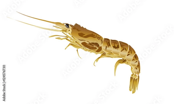 Obraz えびイラスト（茶）