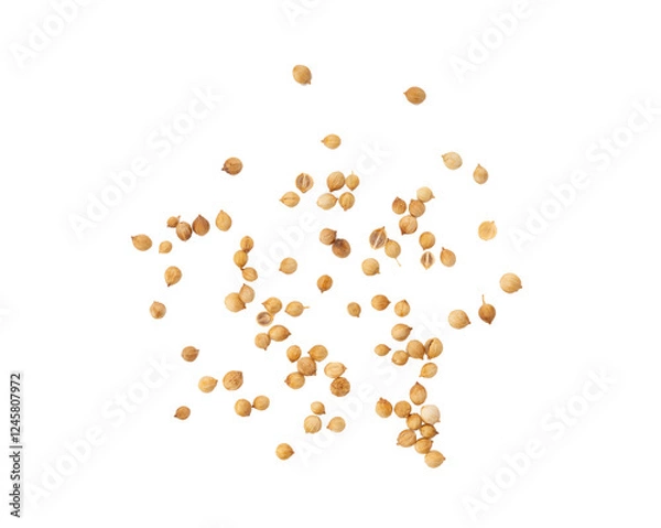 Fototapeta coriander seeds on white background
