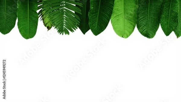 Fototapeta Tropical leaf 