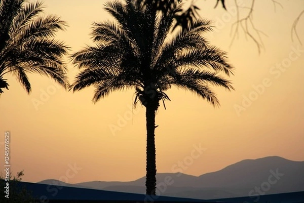 Obraz sunset in the desert