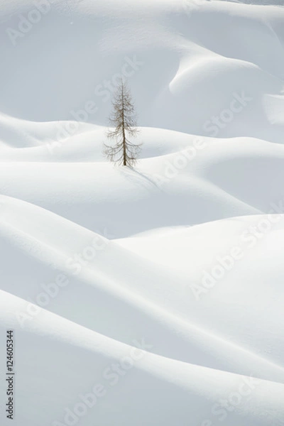 Obraz Snow, winter mountain landscape, tree alone