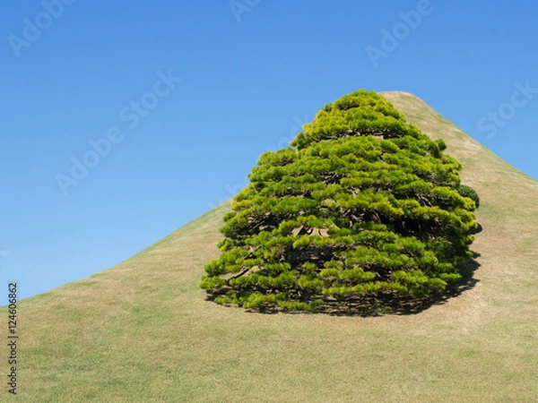 Fototapeta Tree on the hill
