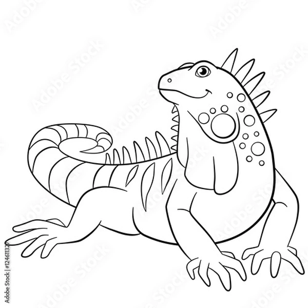 Fototapeta Kolorowanki. Urocza iguana się uśmiecha.