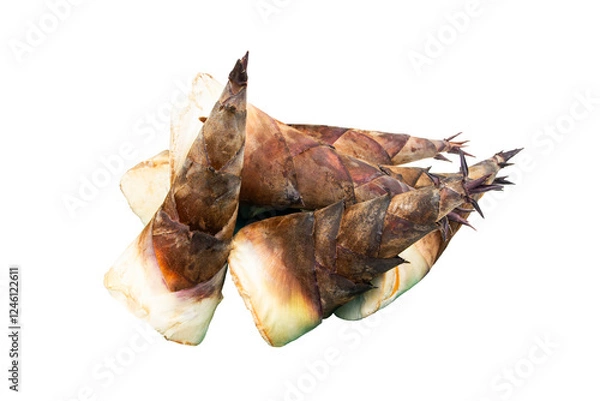 Obraz Bamboo Shoot Isolated On White Background, Local Food.