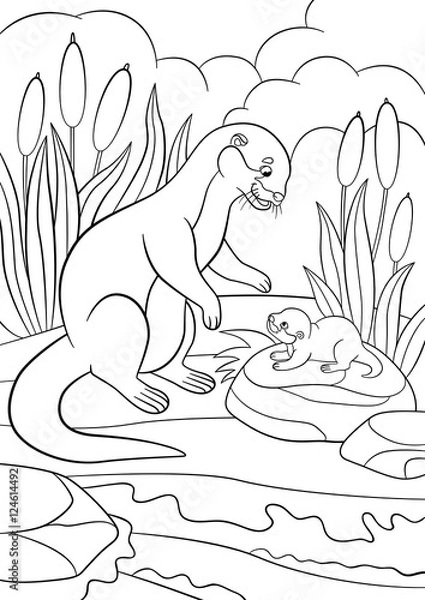 Fototapeta Coloring pages. Mother otter looks at her cute baby.