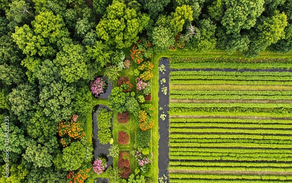 Fototapeta Aerial View of Green Farm Fields, Trees, and Flower Garden
