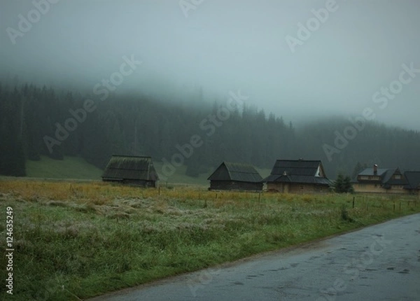 Obraz Dolina Chochołowska 