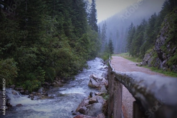 Obraz Dolina Chochołowska