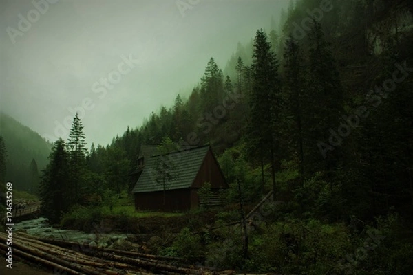 Obraz Dolina Chochołowska